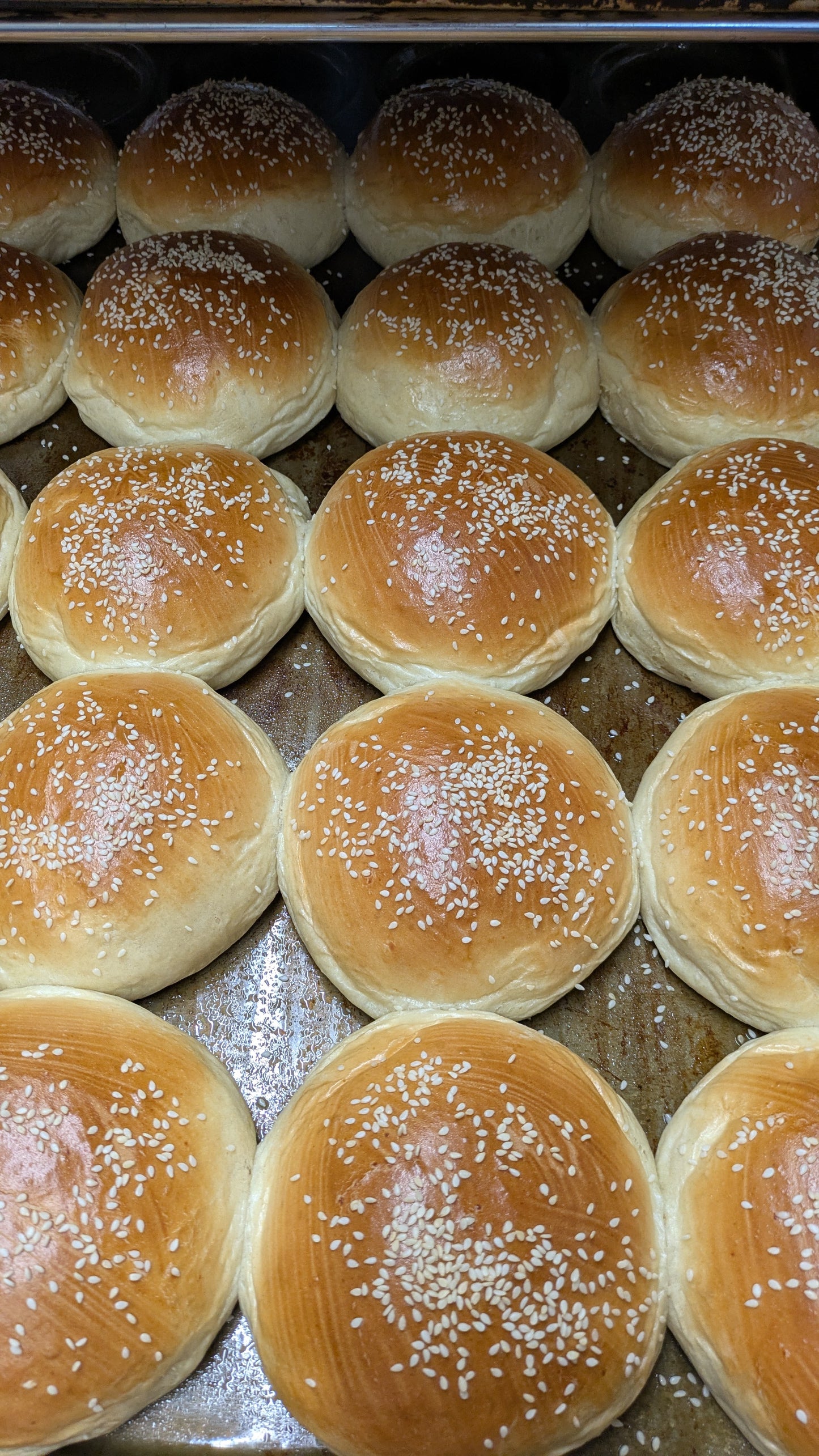 Vegan brioche hamburger buns