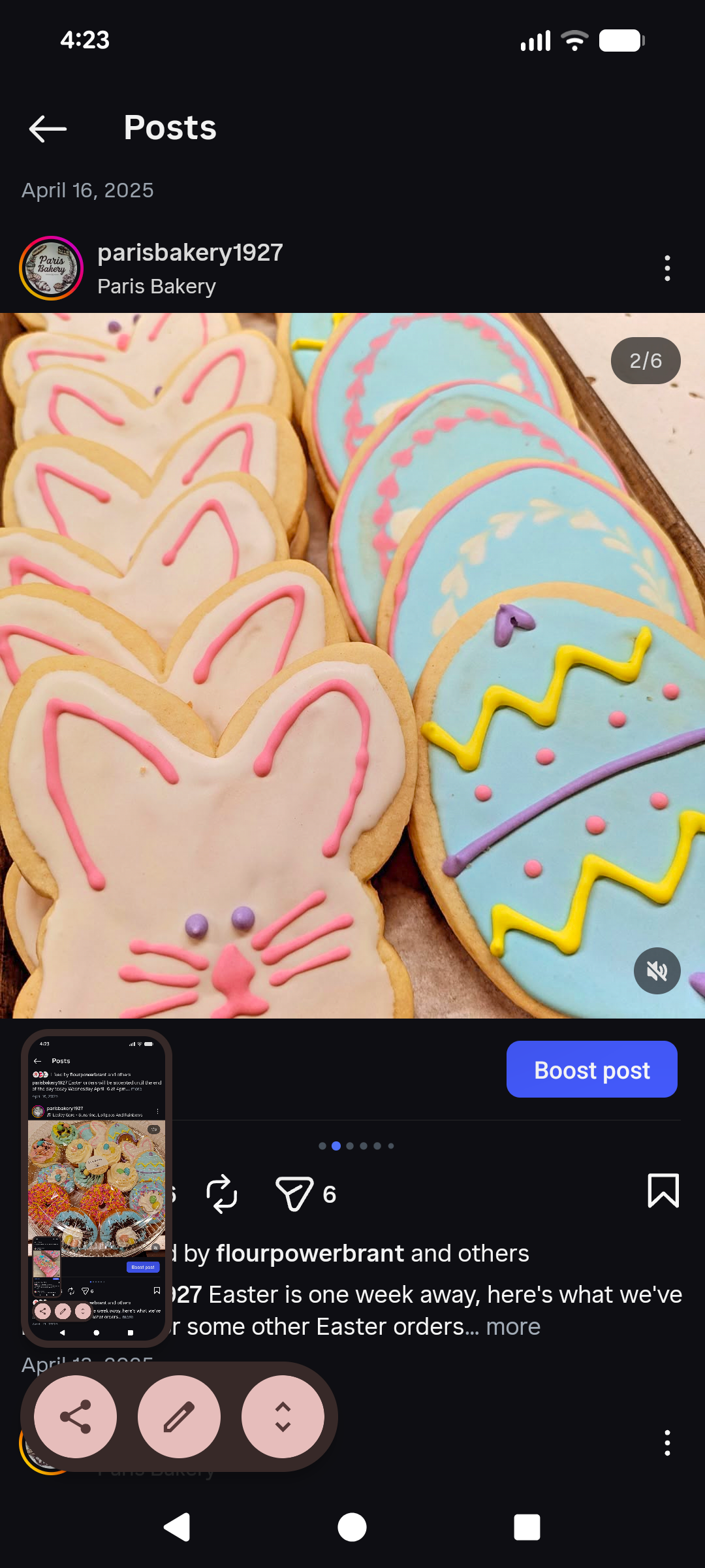 Sugar Cookies