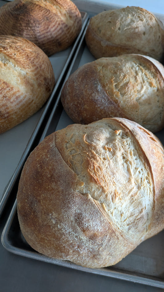 Artisan sourdough cheddar